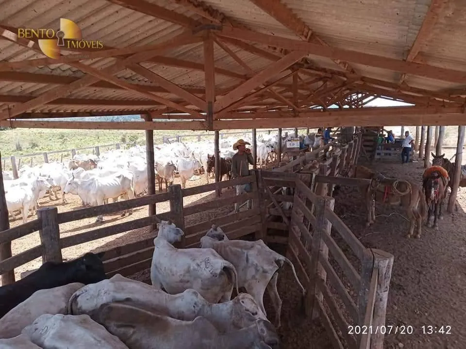 Fazenda à venda de 9.249 ha em Xinguara, PA, Brasil