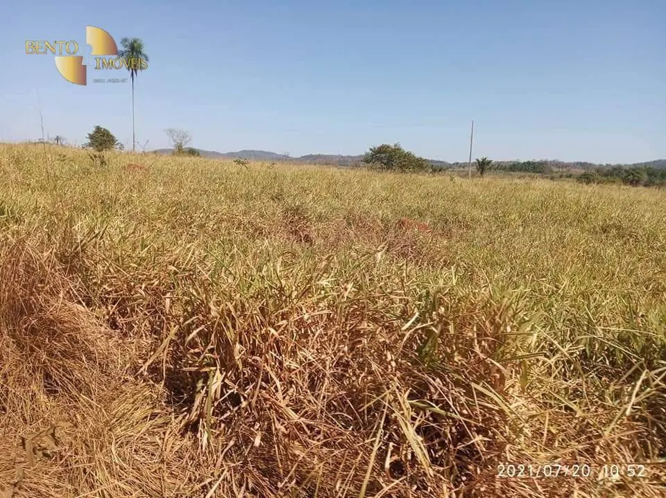Fazenda à venda de 9.249 ha em Xinguara, PA, Brasil