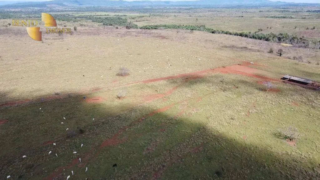 Fazenda à venda de 9.249 ha em Xinguara, PA, Brasil
