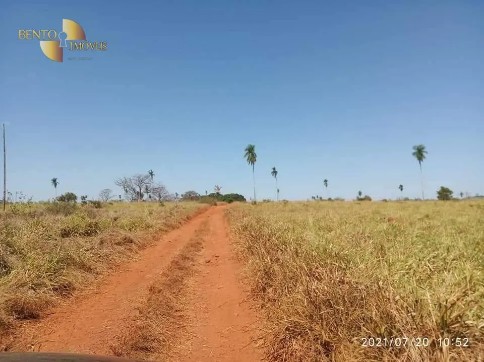 Fazenda à venda de 9.249 ha em Xinguara, PA, Brasil