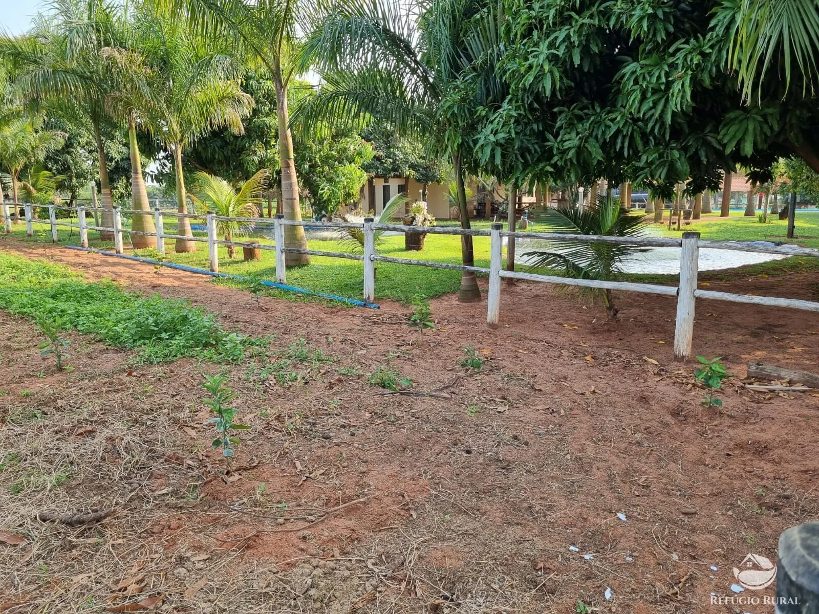 Chácara à venda de 3 ha em Cianorte, PR, Brasil