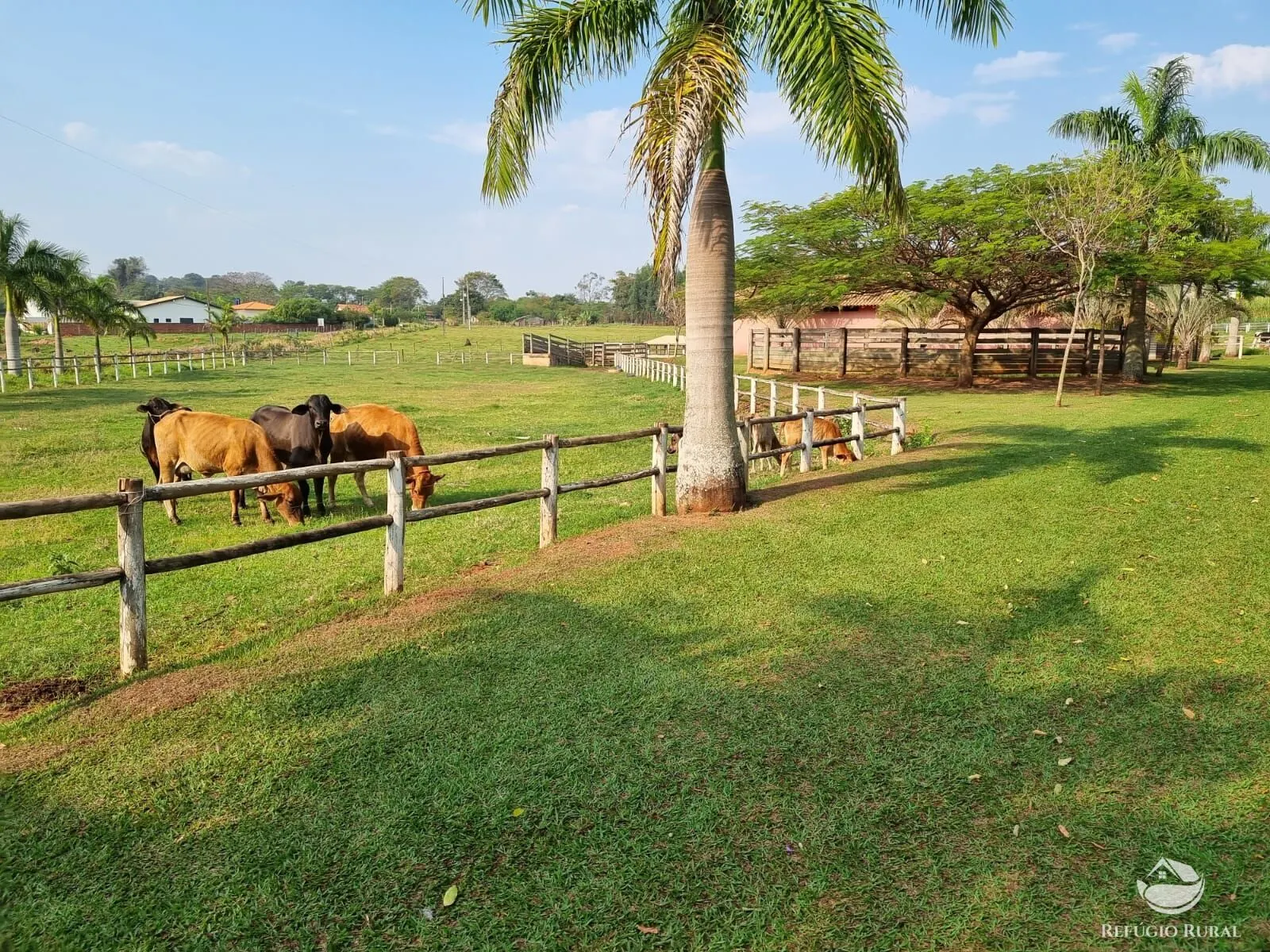 Chácara à venda de 3 ha em Cianorte, PR, Brasil