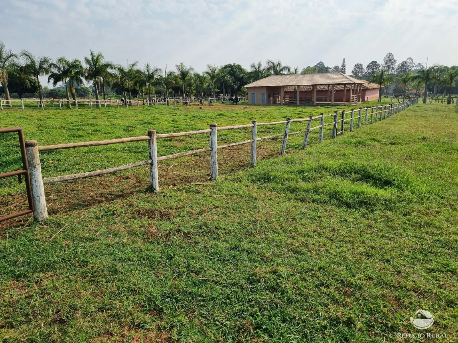 Chácara à venda de 3 ha em Cianorte, PR, Brasil