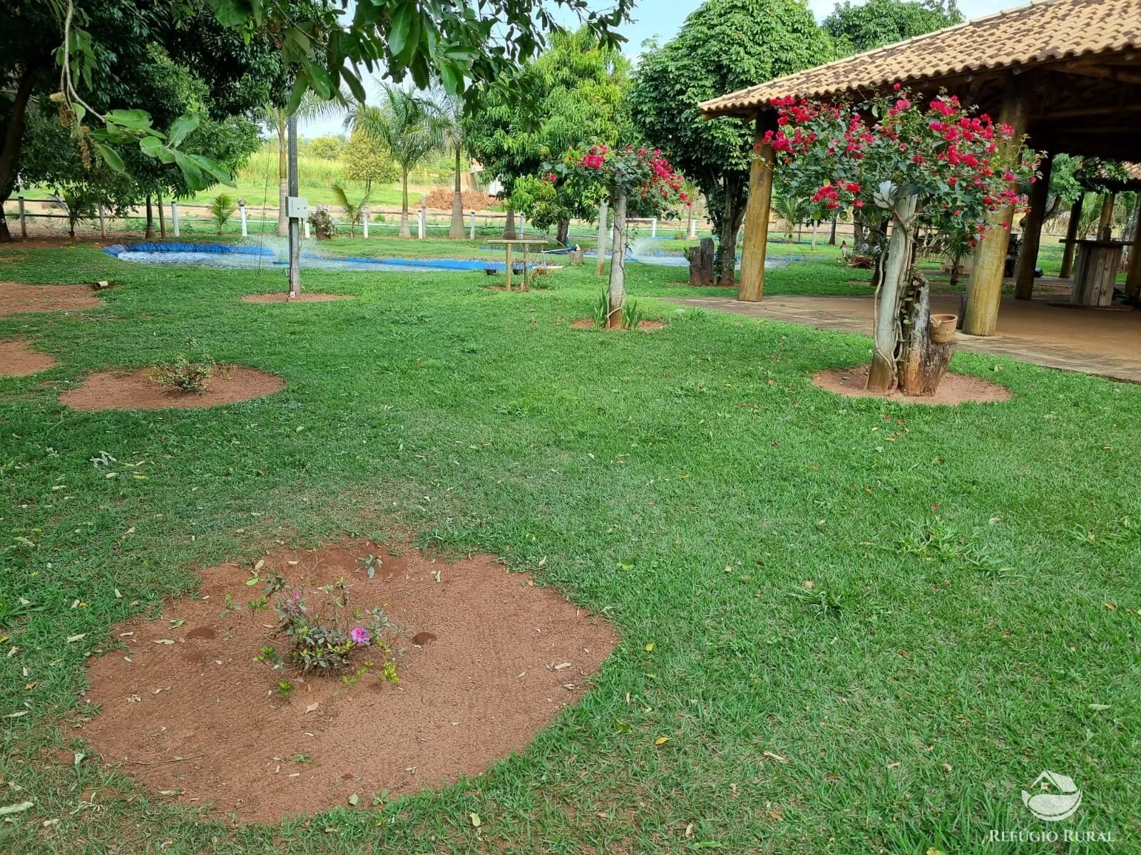 Chácara à venda de 3 ha em Cianorte, PR, Brasil