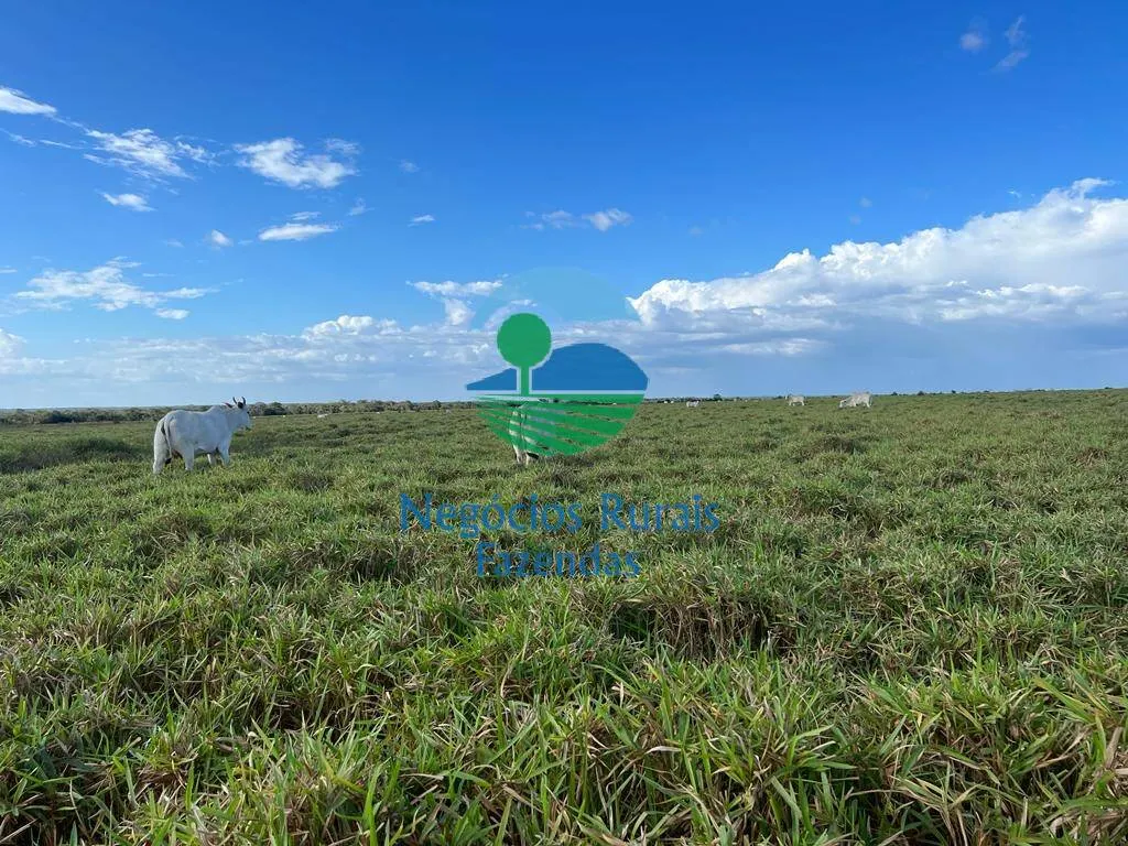 Fazenda à venda de 6.500 ha em Campo Maior, PI, Brasil