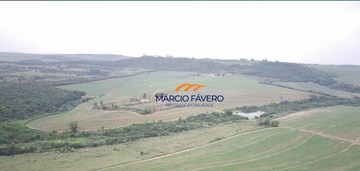 Fazenda à venda de 293 ha em Descalvado, SP, Brasil