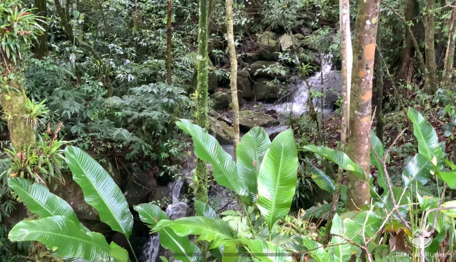 Terreno à venda e para Arrendar de 3 ha em Três Forquilhas, RS, Brasil