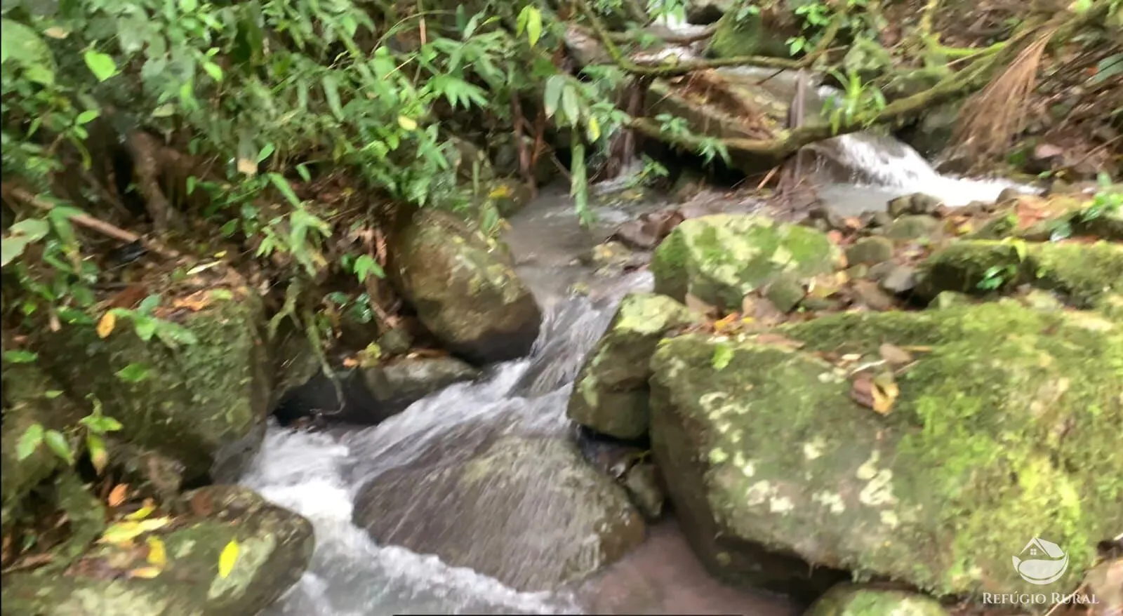 Terreno à venda e para Arrendar de 3 ha em Três Forquilhas, RS, Brasil