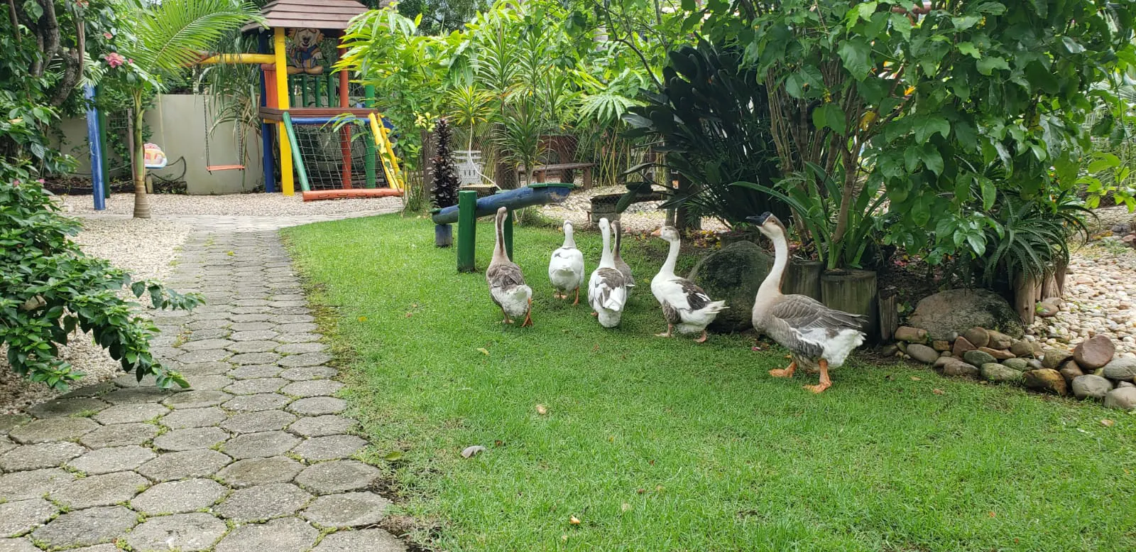 Small farm for sale of 1,300 m² in Itajaí, SC, Brazil