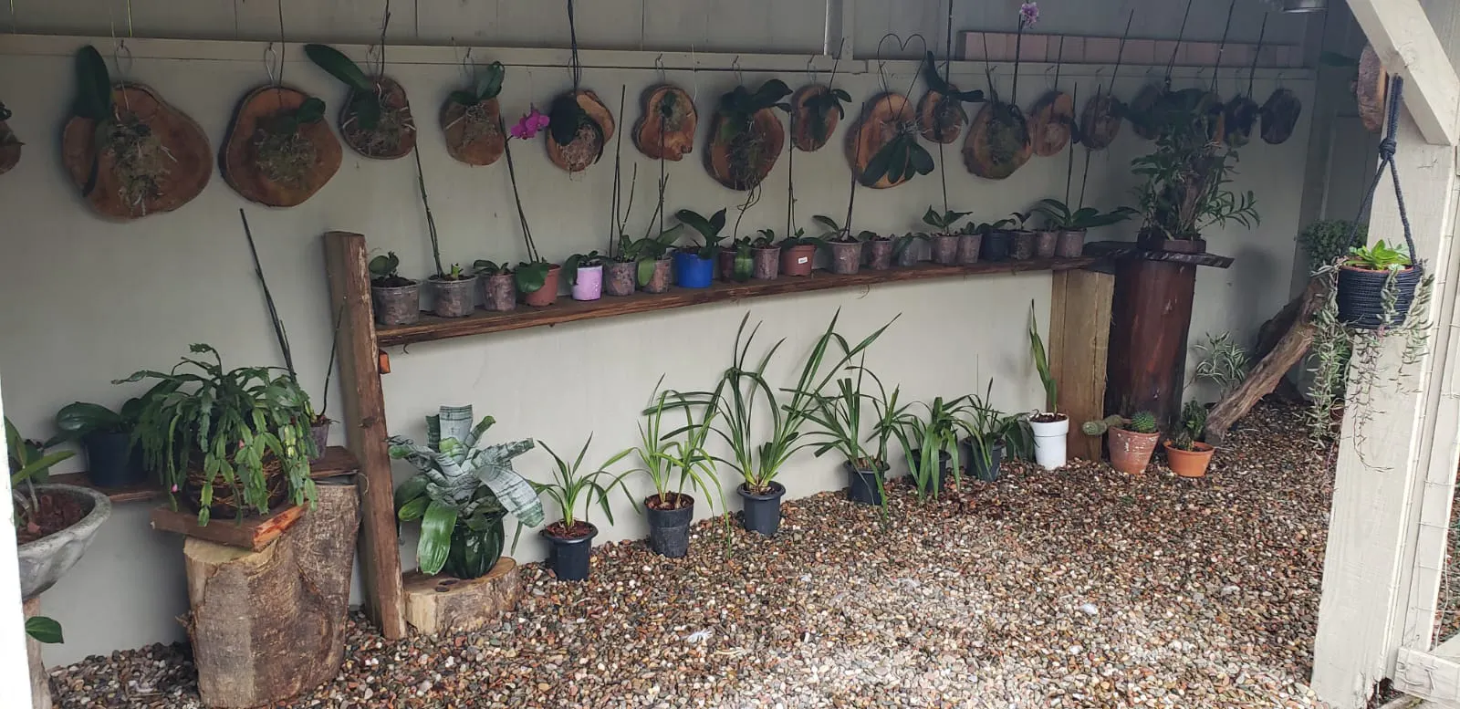 Small farm for sale of 1,300 m² in Itajaí, SC, Brazil