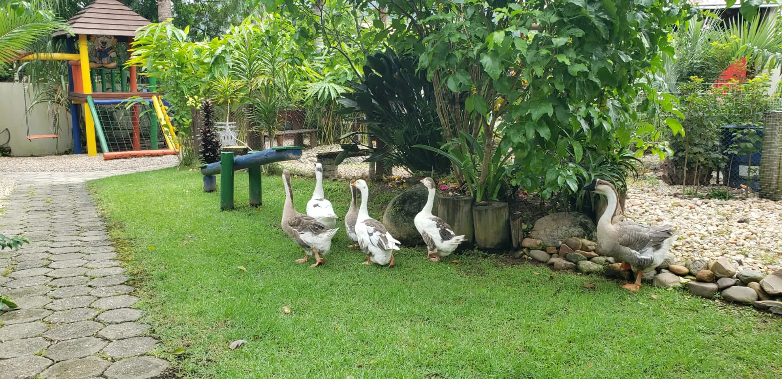 Small farm for sale of 1,300 m² in Itajaí, SC, Brazil