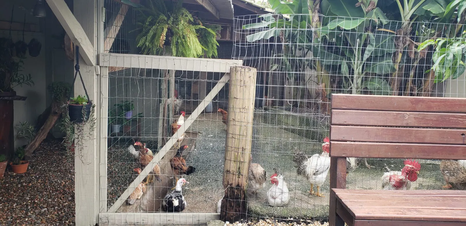 Small farm for sale of 1,300 m² in Itajaí, SC, Brazil
