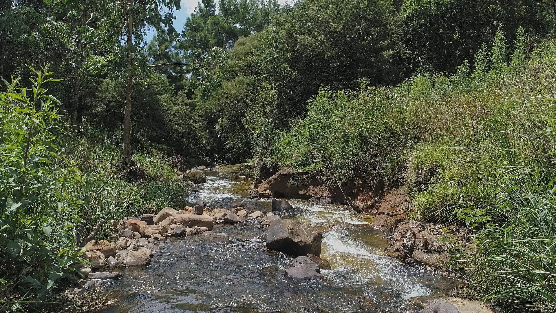 Sítio à venda de 38 ha em Urubici, SC, Brasil
