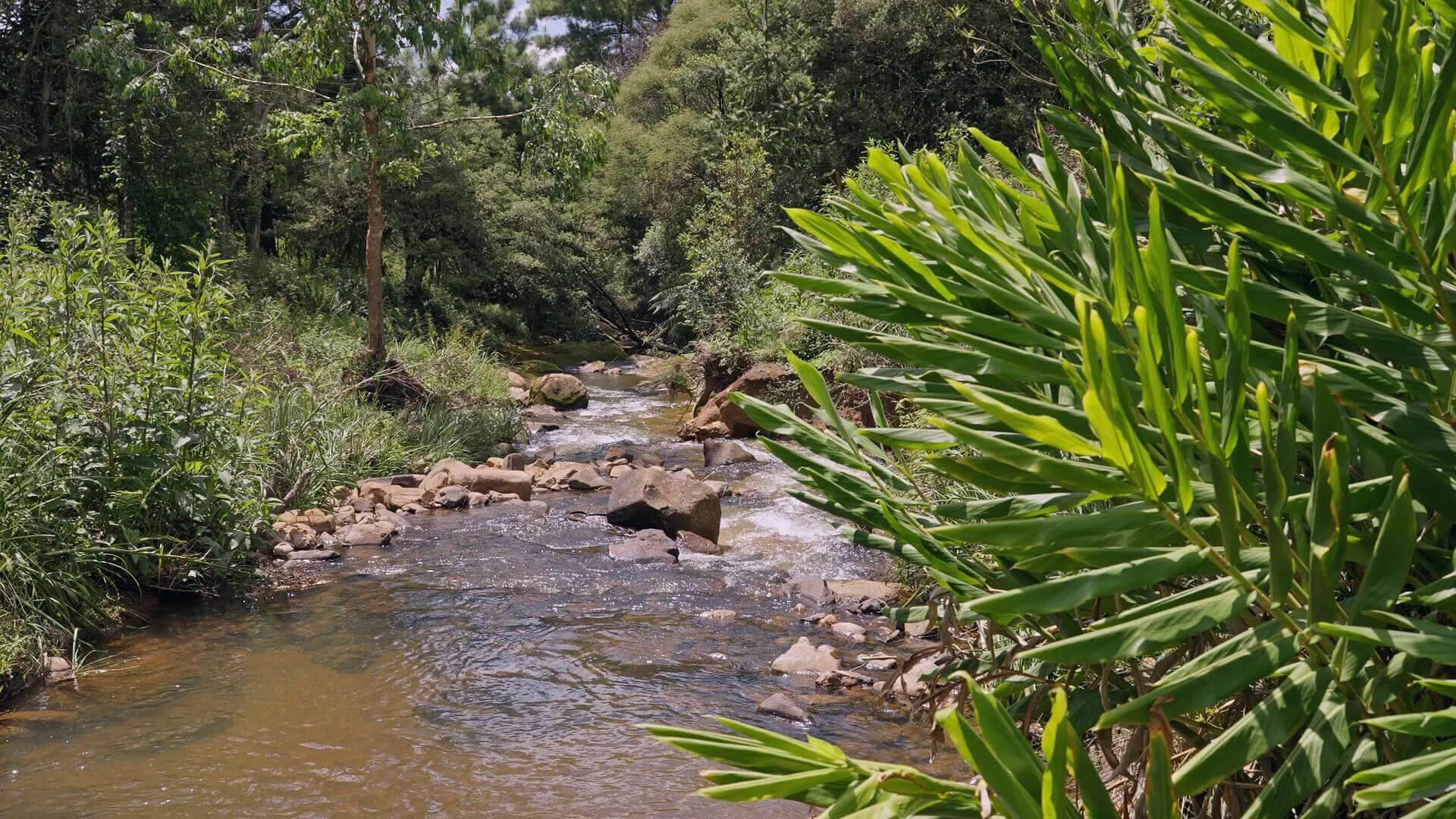 Sítio à venda de 38 ha em Urubici, SC, Brasil