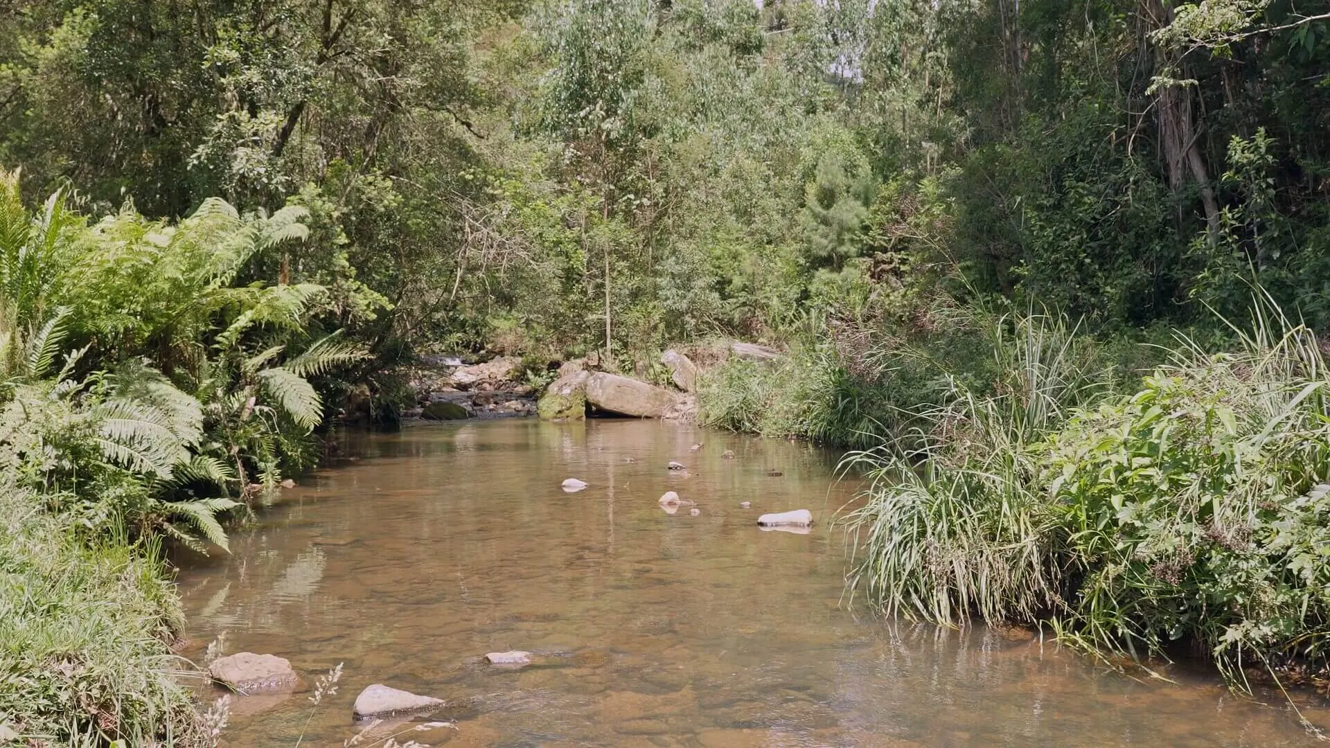 Sítio à venda de 38 ha em Urubici, SC, Brasil