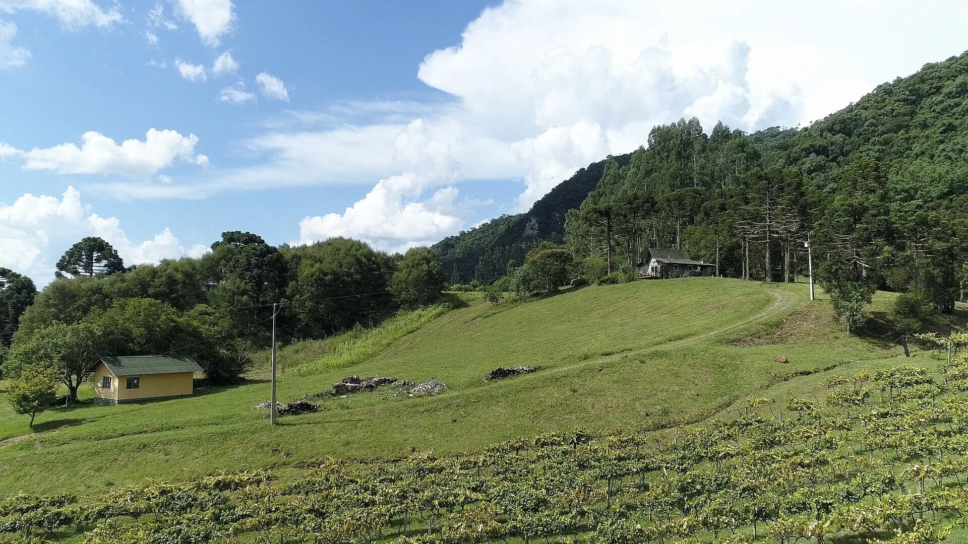 Sítio à venda de 38 ha em Urubici, SC, Brasil