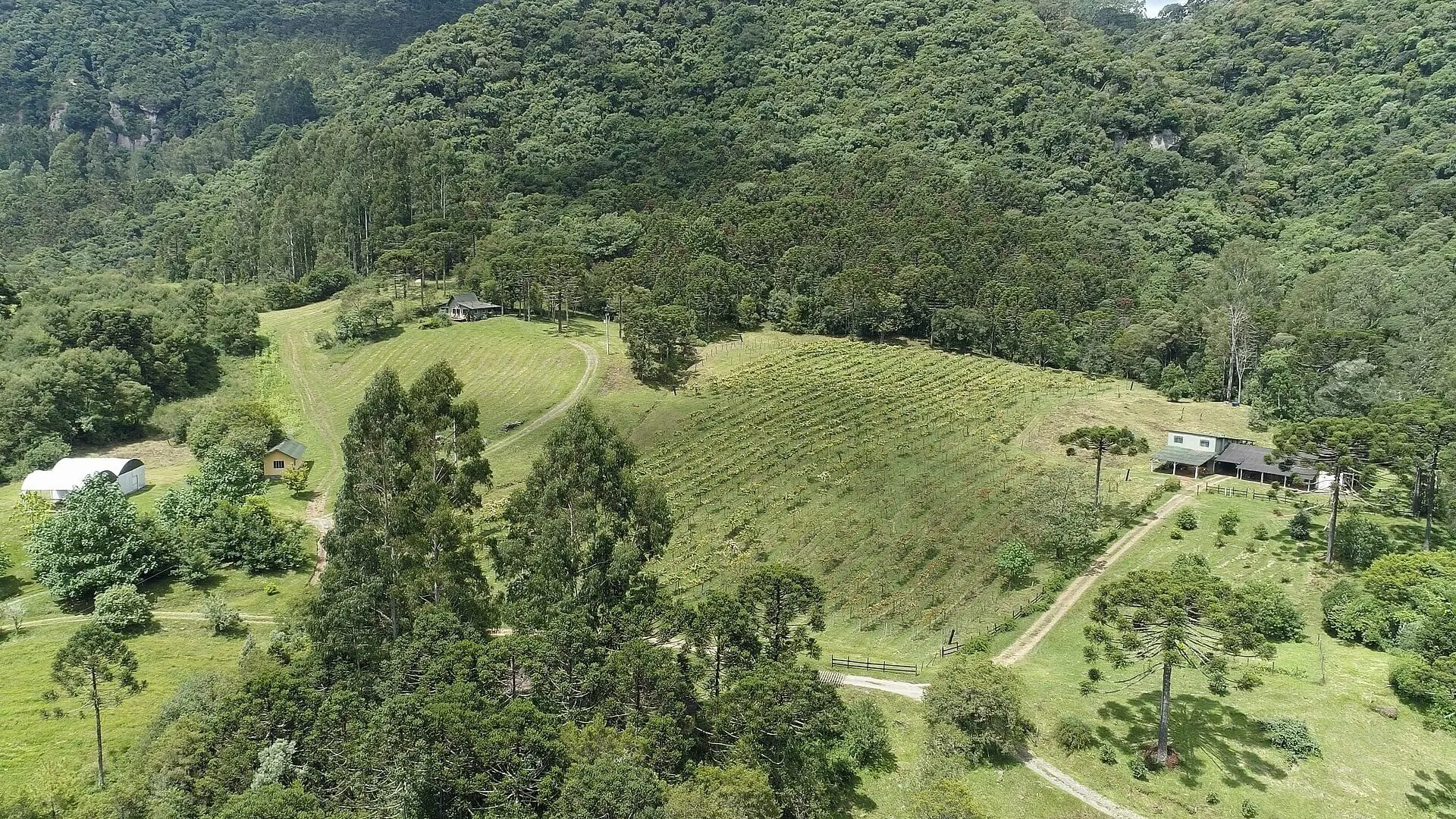 Sítio à venda de 38 ha em Urubici, SC, Brasil