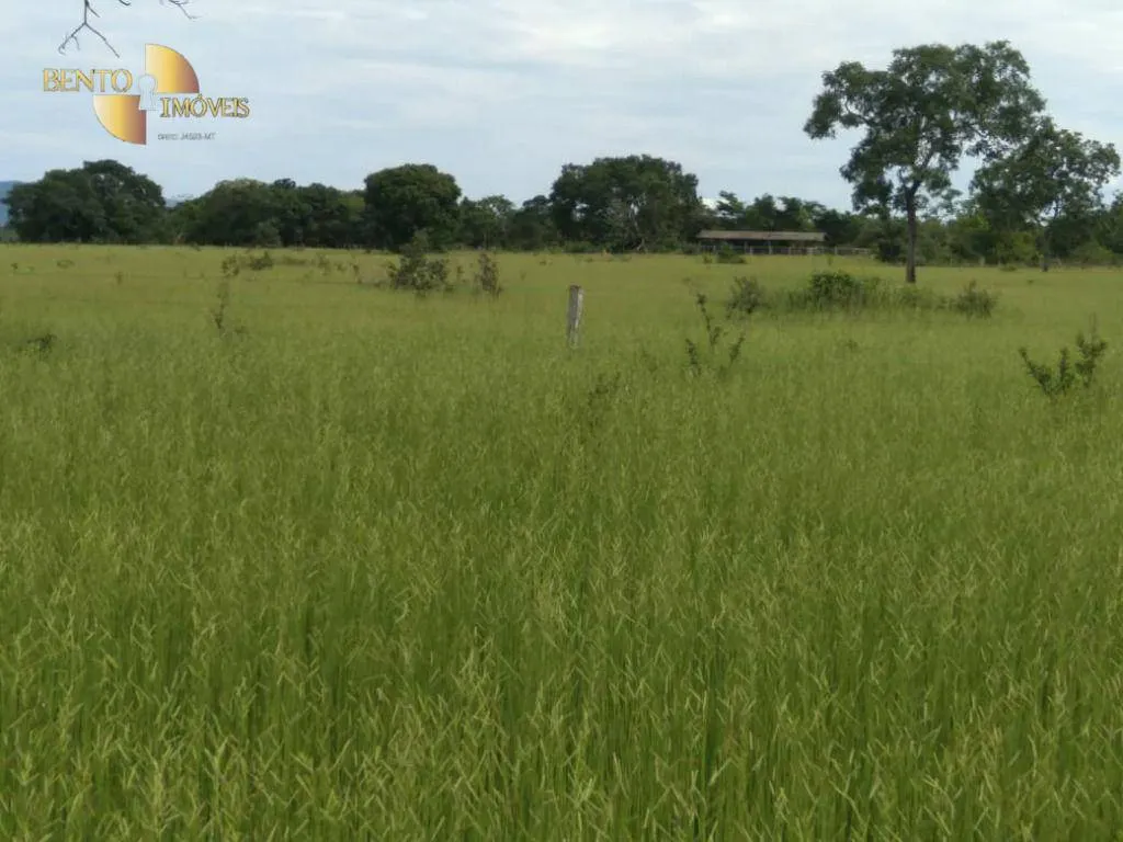 Fazenda à venda de 977 ha em Jangada, MT, Brasil