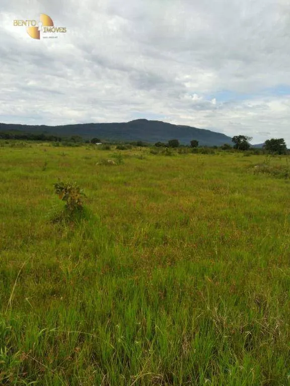 Fazenda à venda de 977 ha em Jangada, MT, Brasil