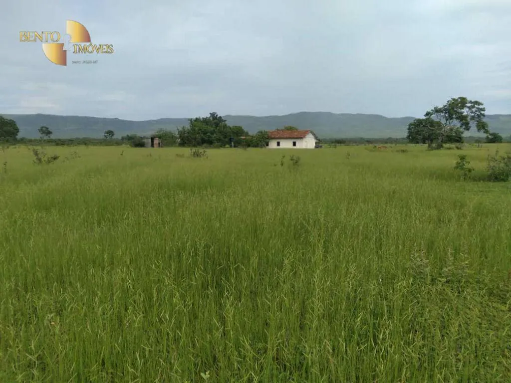 Fazenda à venda de 977 ha em Jangada, MT, Brasil