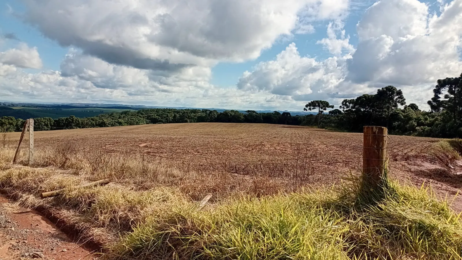 Terreno à venda de 41 ha em Teixeira Soares, PR, Brasil