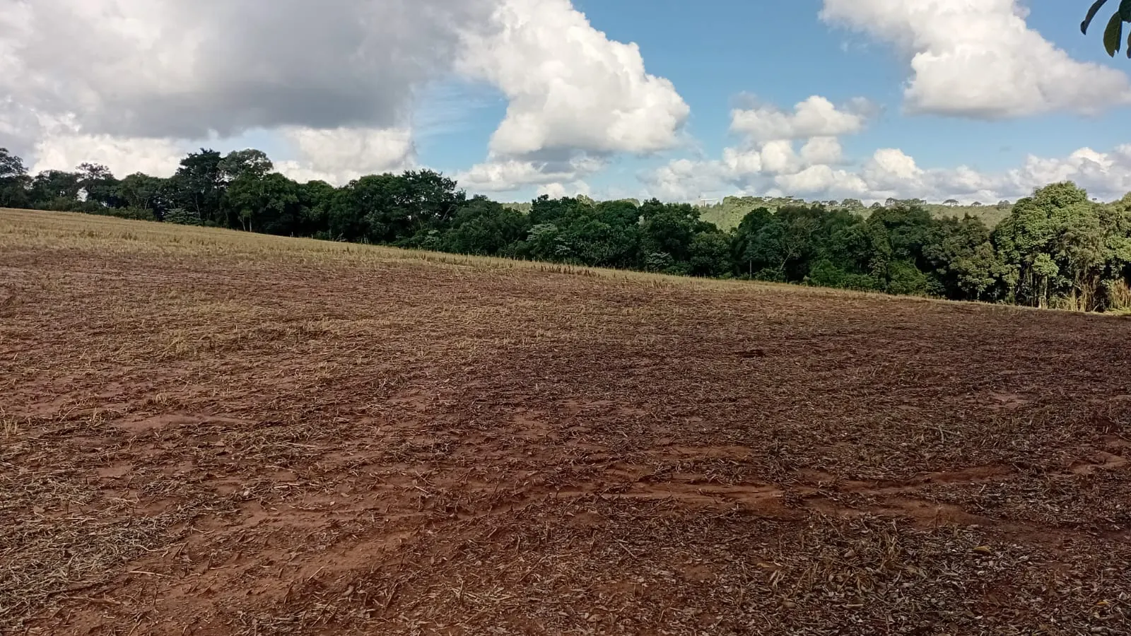 Terreno à venda de 41 ha em Teixeira Soares, PR, Brasil