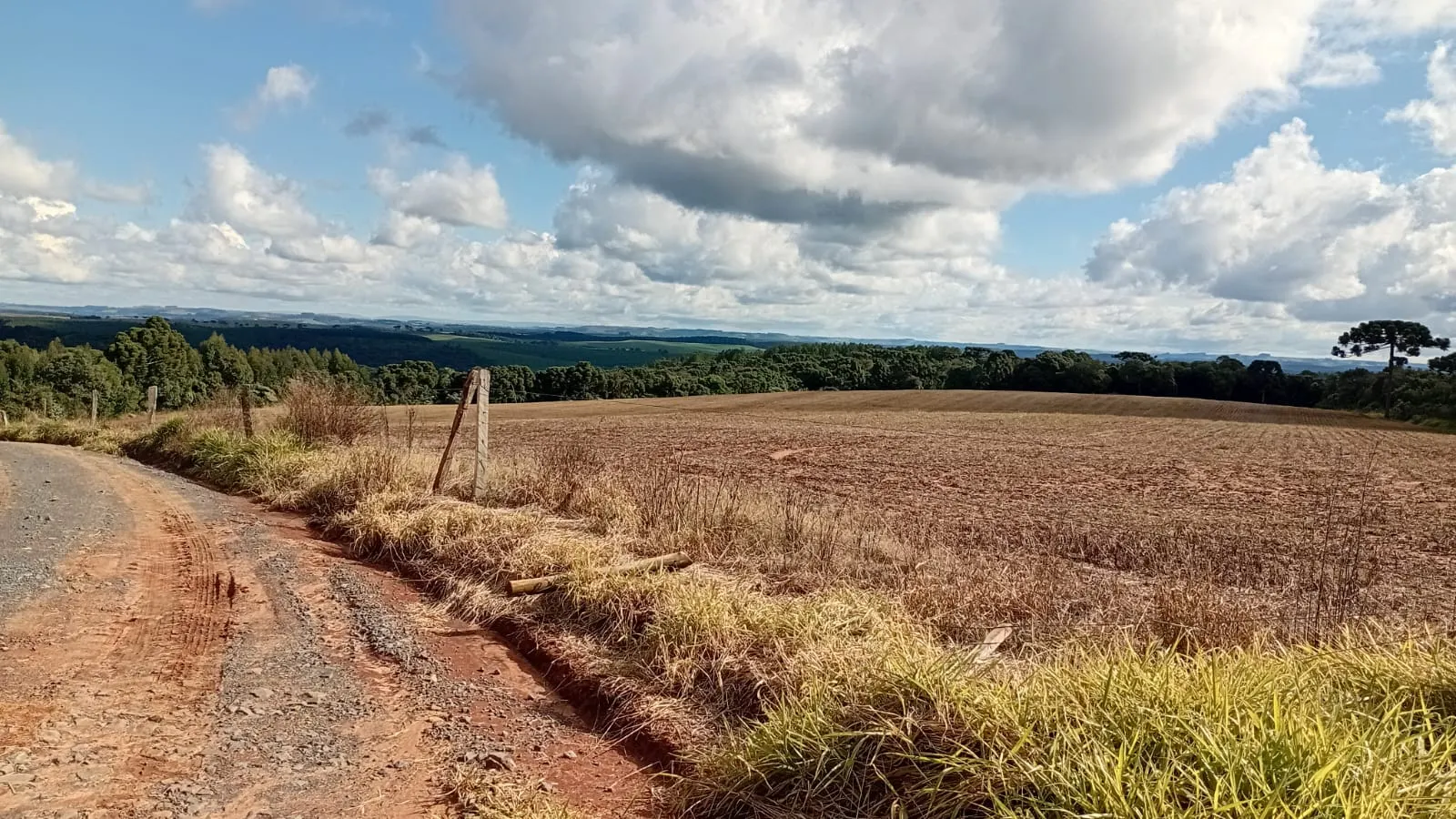 Terreno à venda de 41 ha em Teixeira Soares, PR, Brasil
