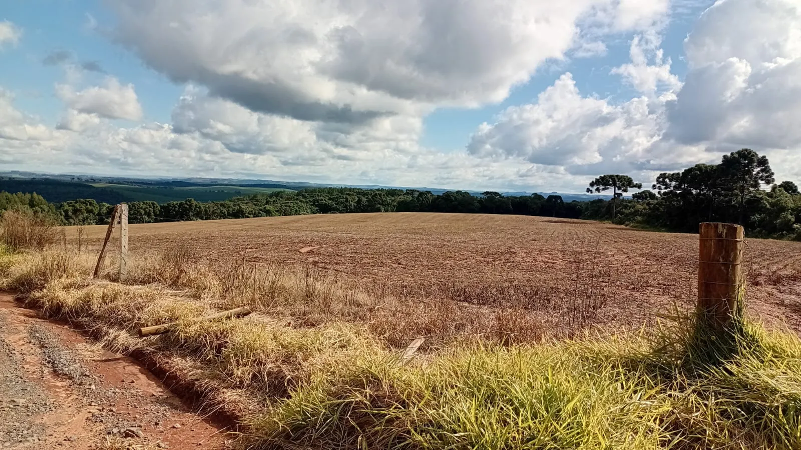 Terreno à venda de 41 ha em Teixeira Soares, PR, Brasil
