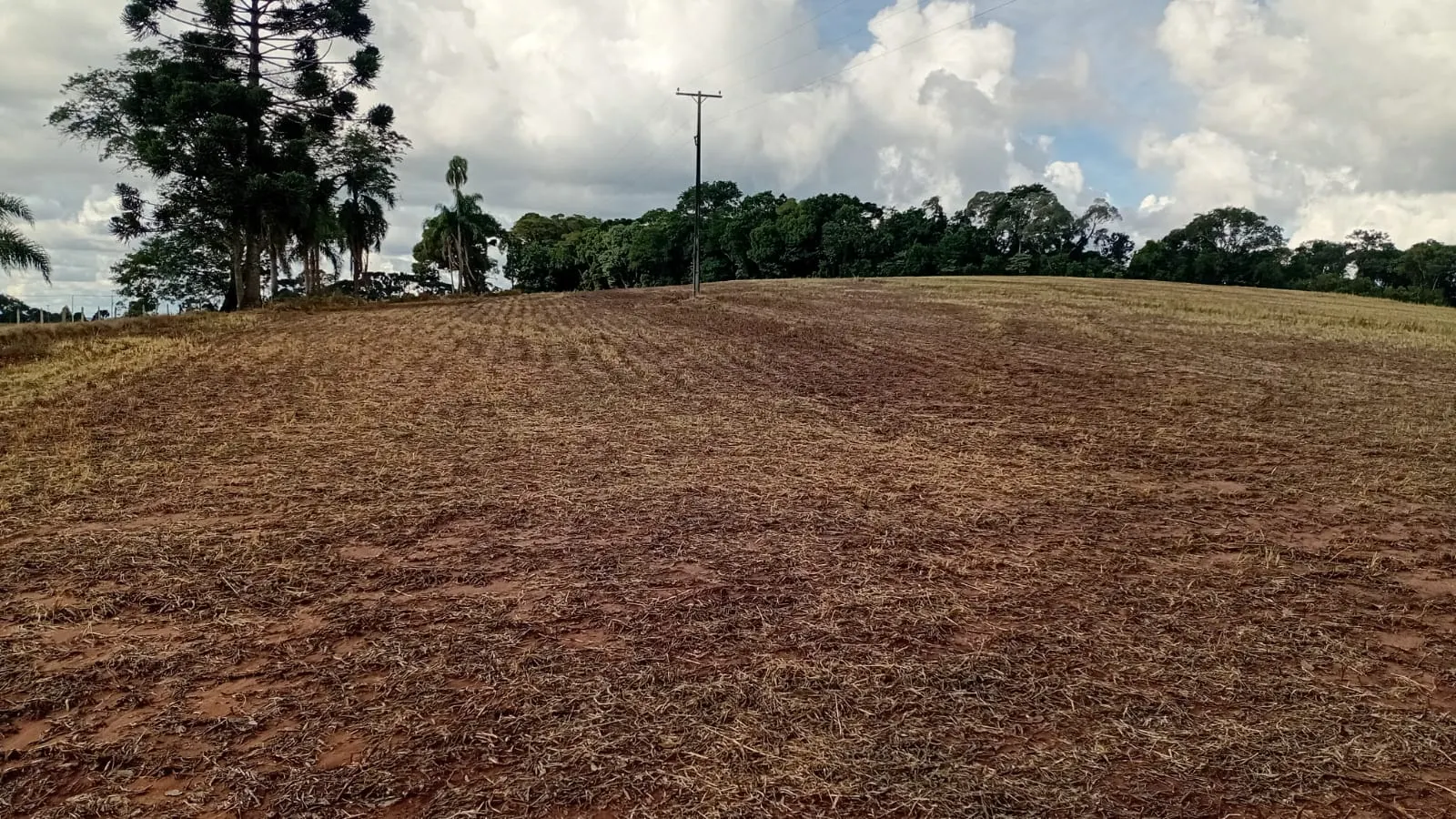 Terreno à venda de 41 ha em Teixeira Soares, PR, Brasil