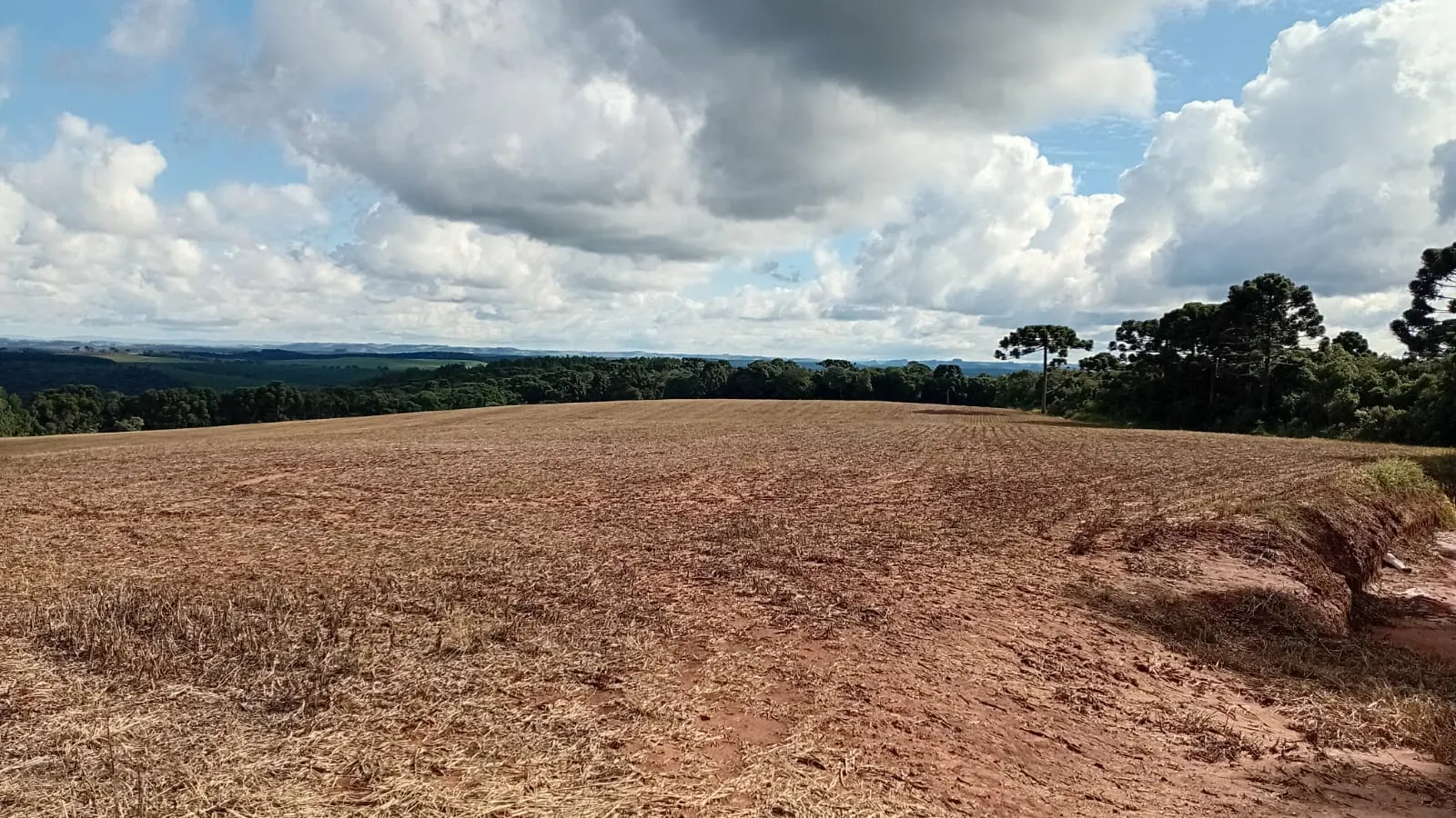 Terreno à venda de 41 ha em Teixeira Soares, PR, Brasil