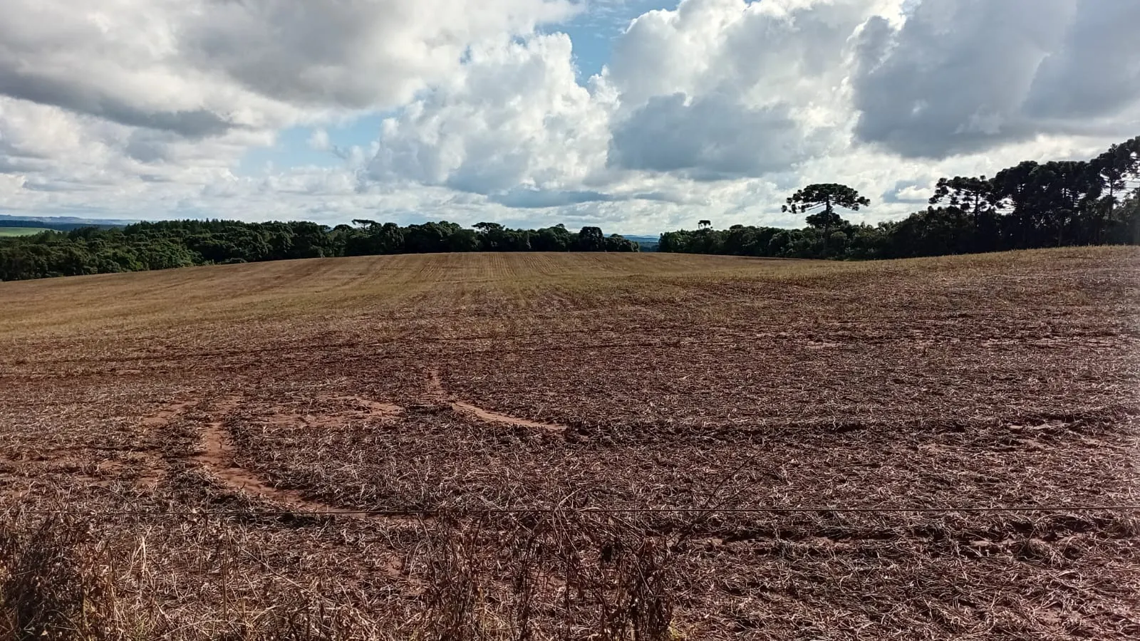 Terreno à venda de 41 ha em Teixeira Soares, PR, Brasil