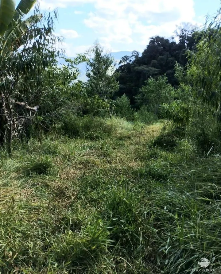 Fazenda à venda de 101 ha em Brazópolis, MG, Brasil