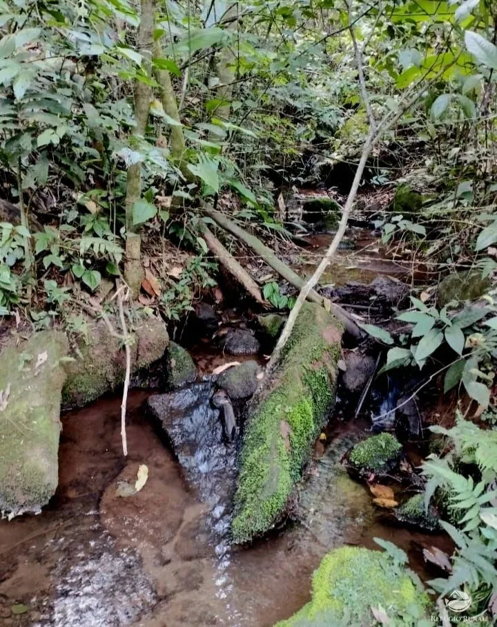 Fazenda à venda de 101 ha em Brazópolis, MG, Brasil