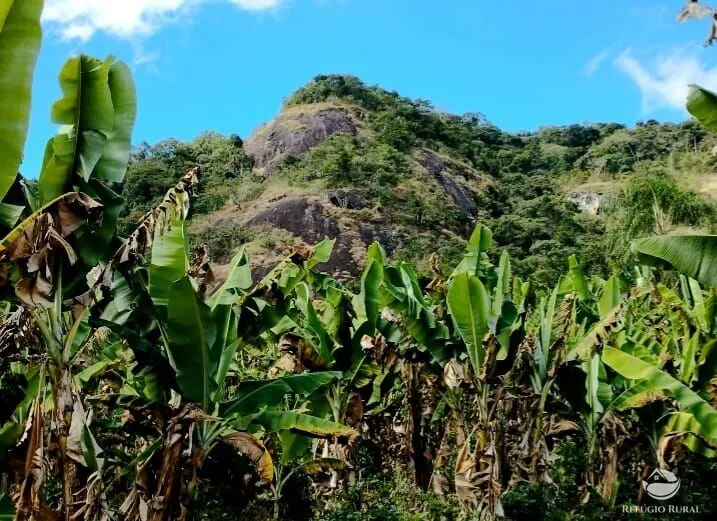 Fazenda à venda de 101 ha em Brazópolis, MG, Brasil