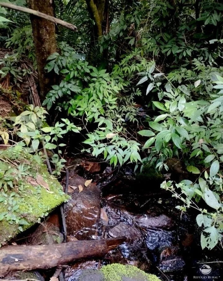 Fazenda à venda de 101 ha em Brazópolis, MG, Brasil