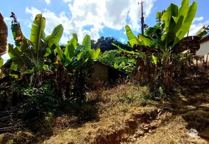 Fazenda à venda de 101 ha em Brazópolis, MG, Brasil