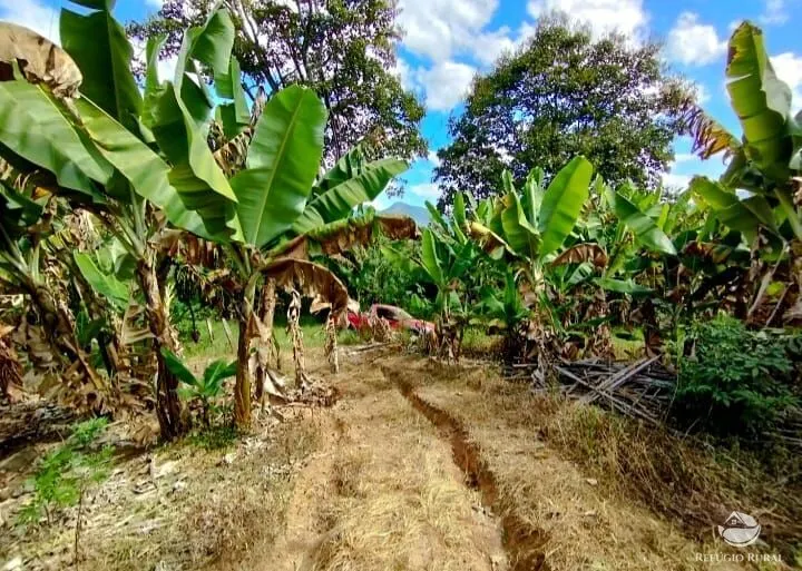 Fazenda à venda de 101 ha em Brazópolis, MG, Brasil