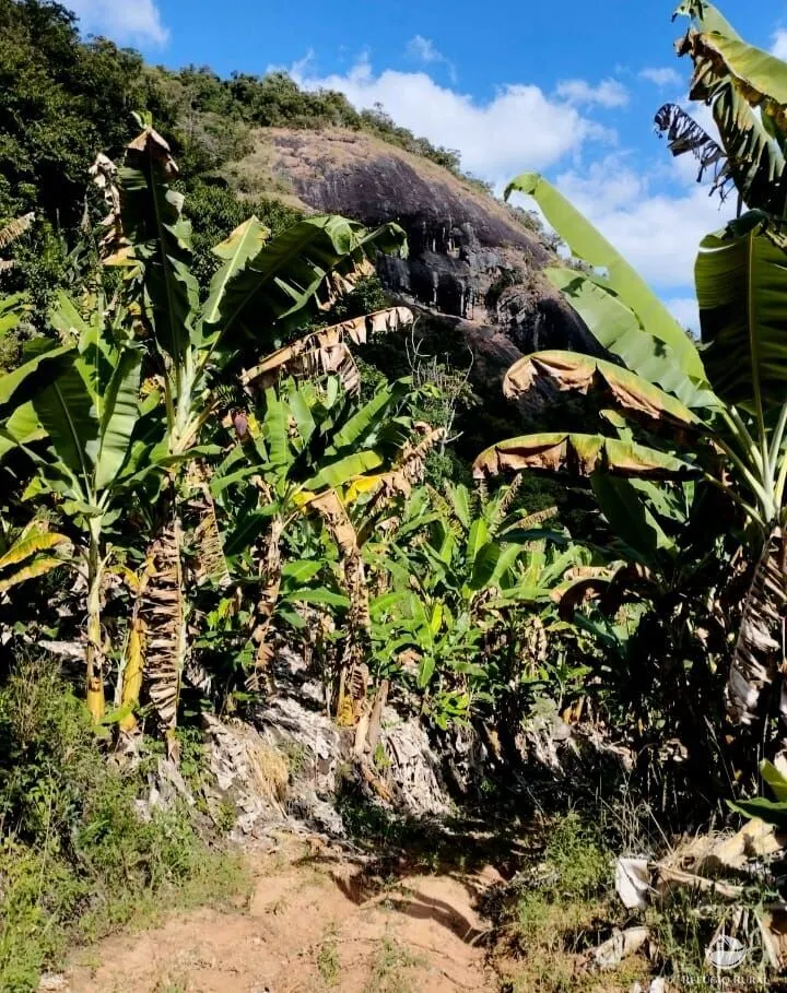 Fazenda à venda de 101 ha em Brazópolis, MG, Brasil