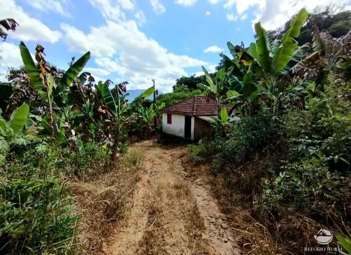 Fazenda à venda de 101 ha em Brazópolis, MG, Brasil