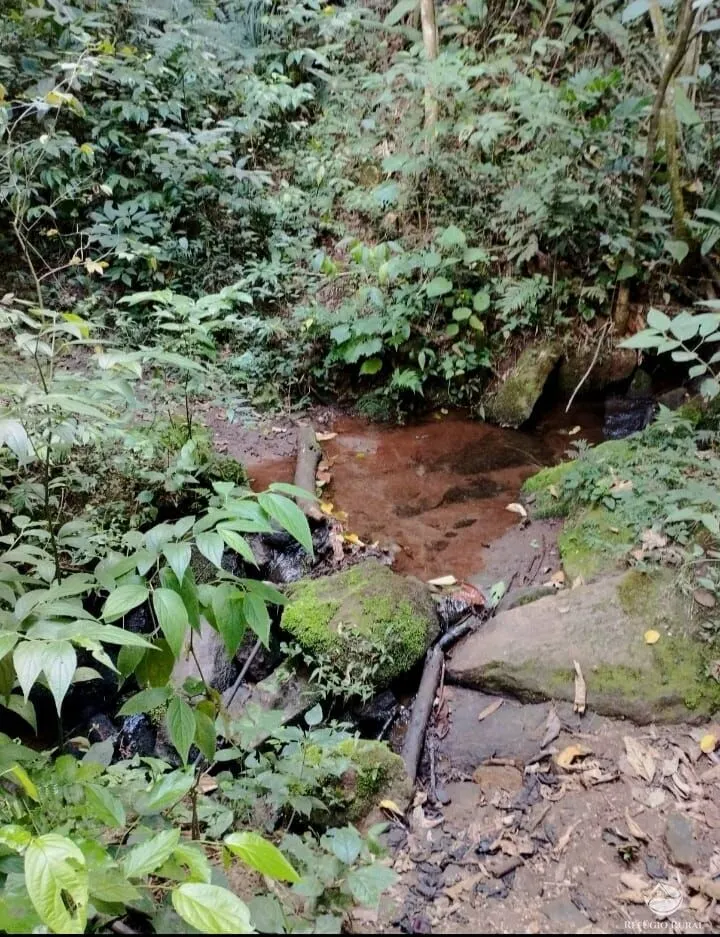 Fazenda à venda de 101 ha em Brazópolis, MG, Brasil