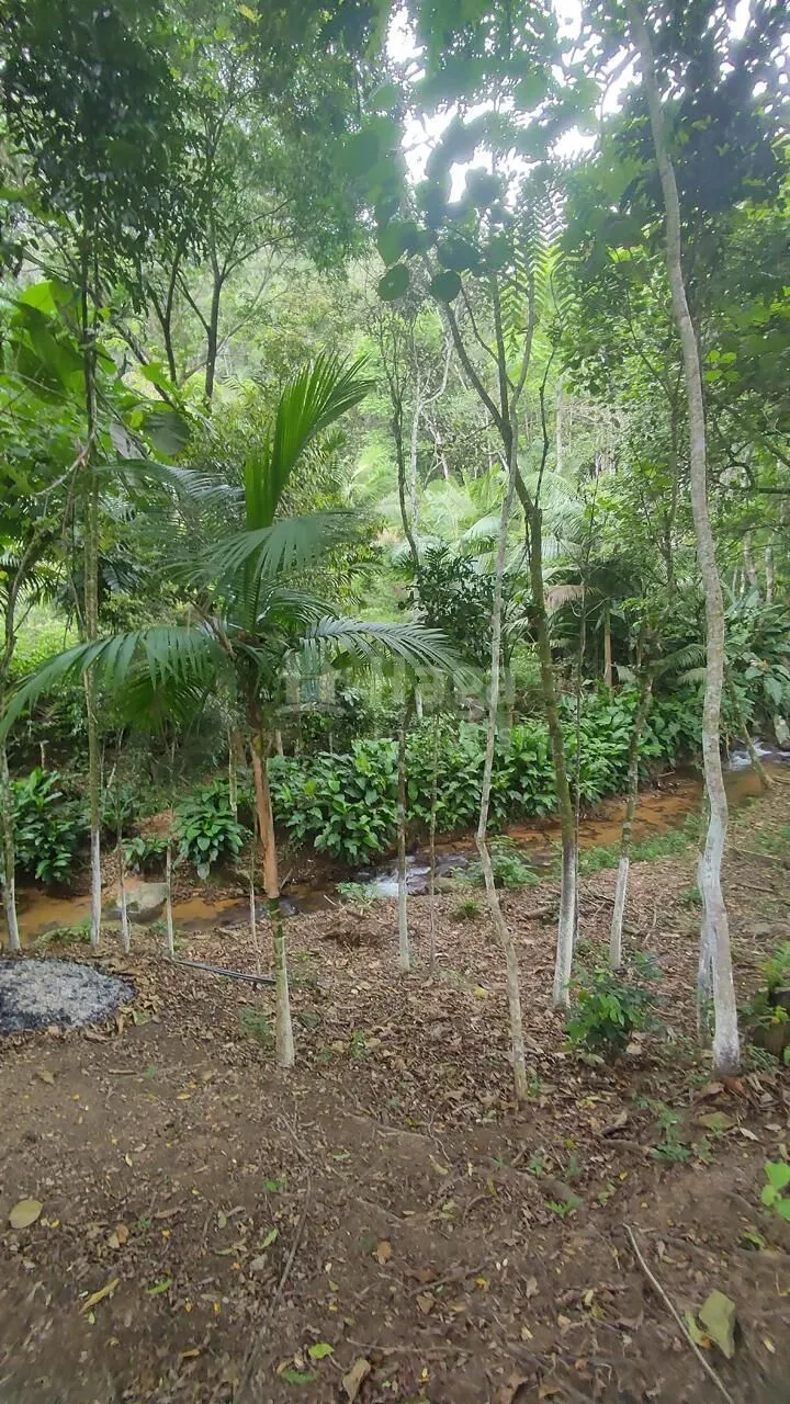 Fazenda à venda de 1.370 m² em Major Gercino, SC, Brasil