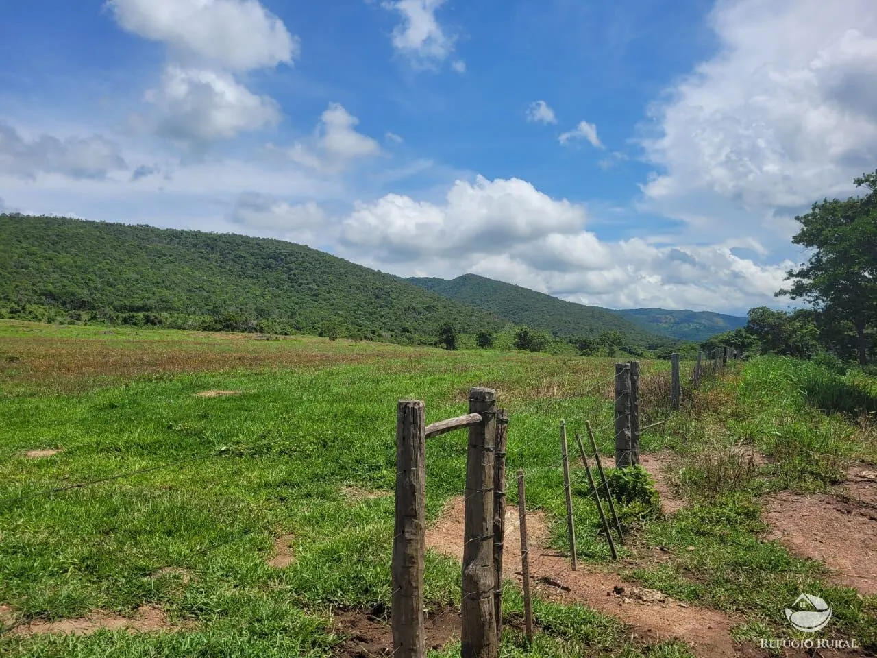 Fazenda à venda de 1.540 ha em Acorizal, MT, Brasil