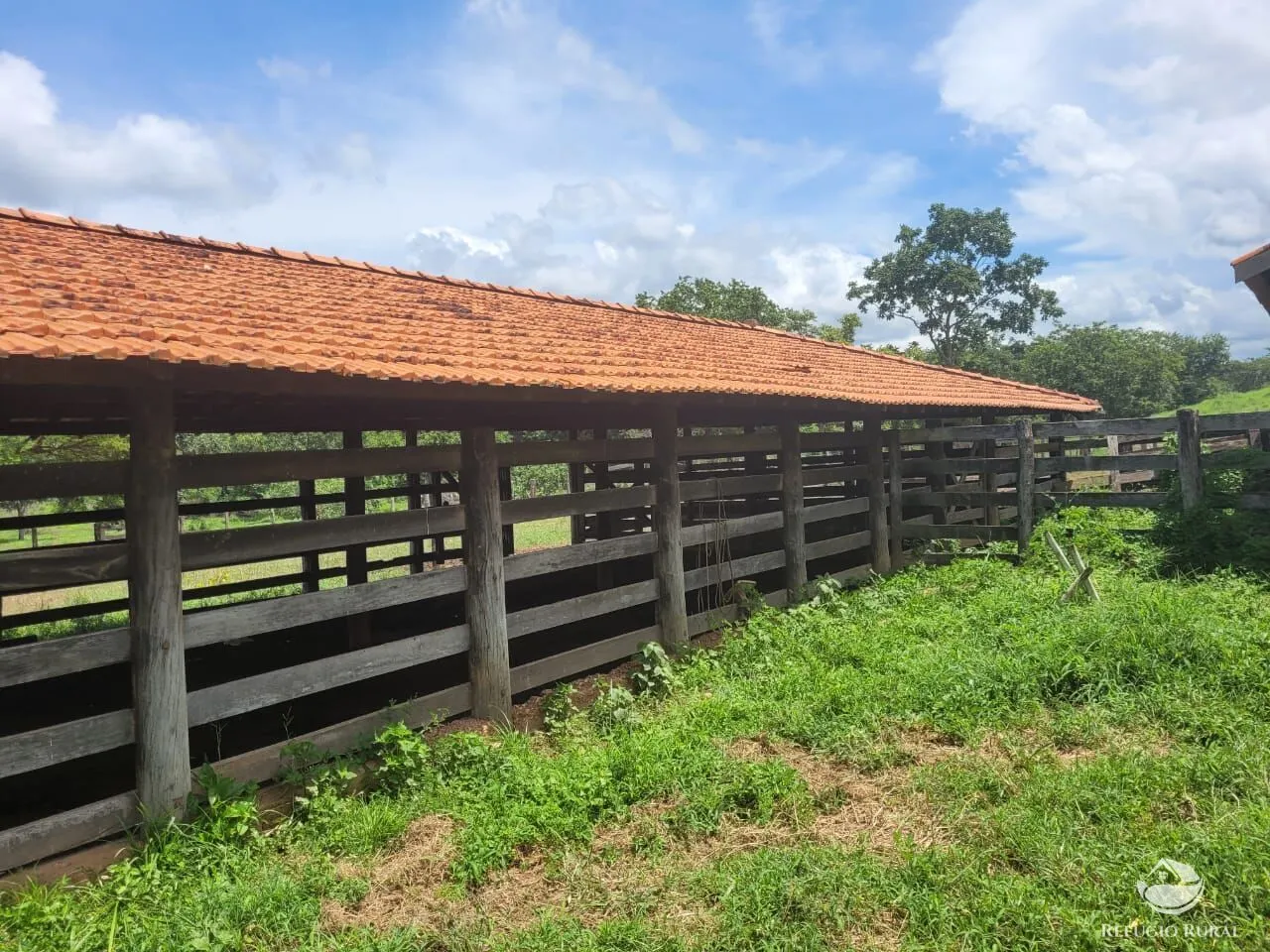 Fazenda à venda de 1.540 ha em Acorizal, MT, Brasil