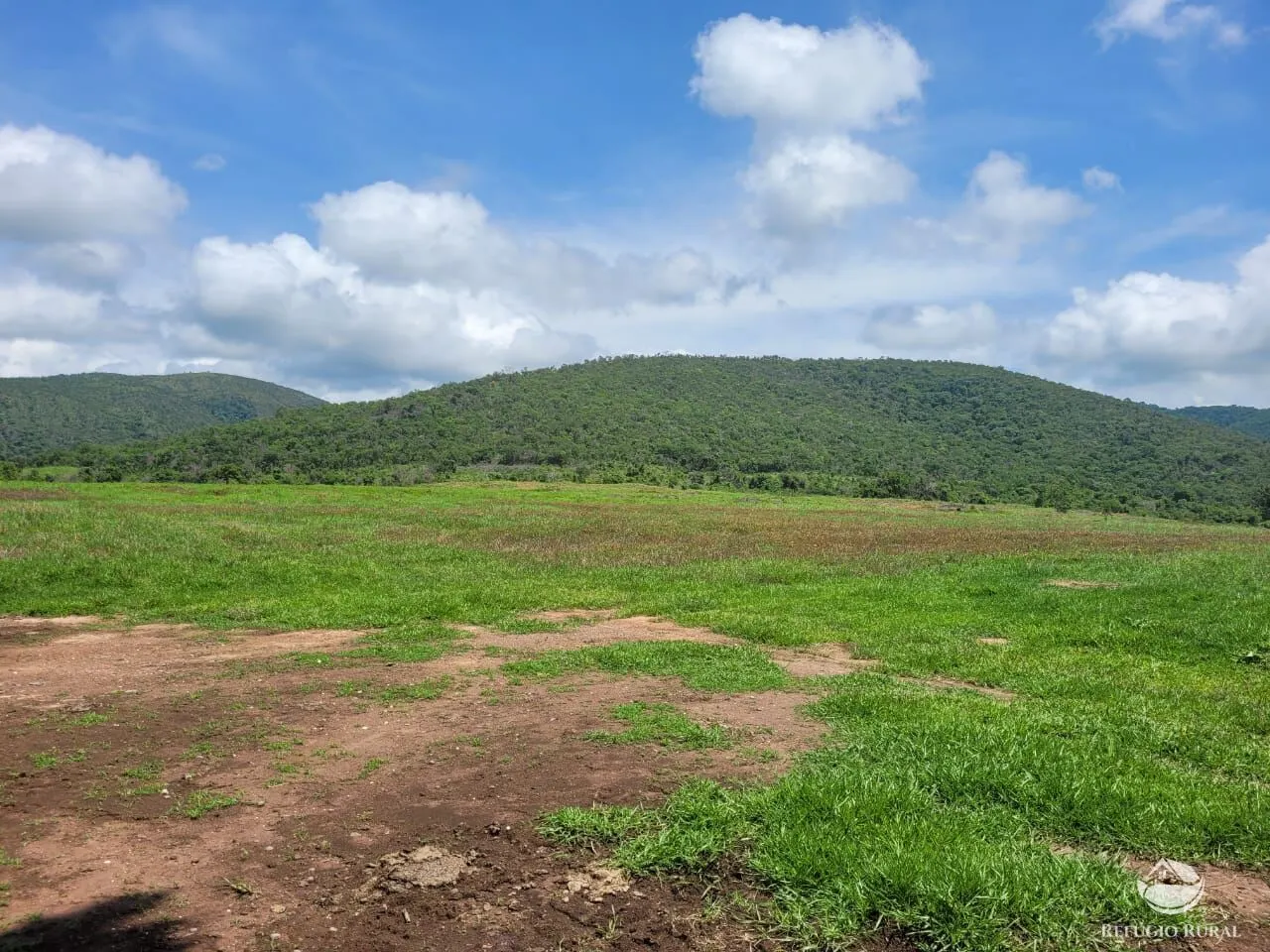 Fazenda à venda de 1.540 ha em Acorizal, MT, Brasil