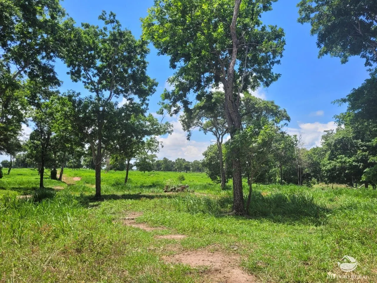 Fazenda à venda de 1.540 ha em Acorizal, MT, Brasil