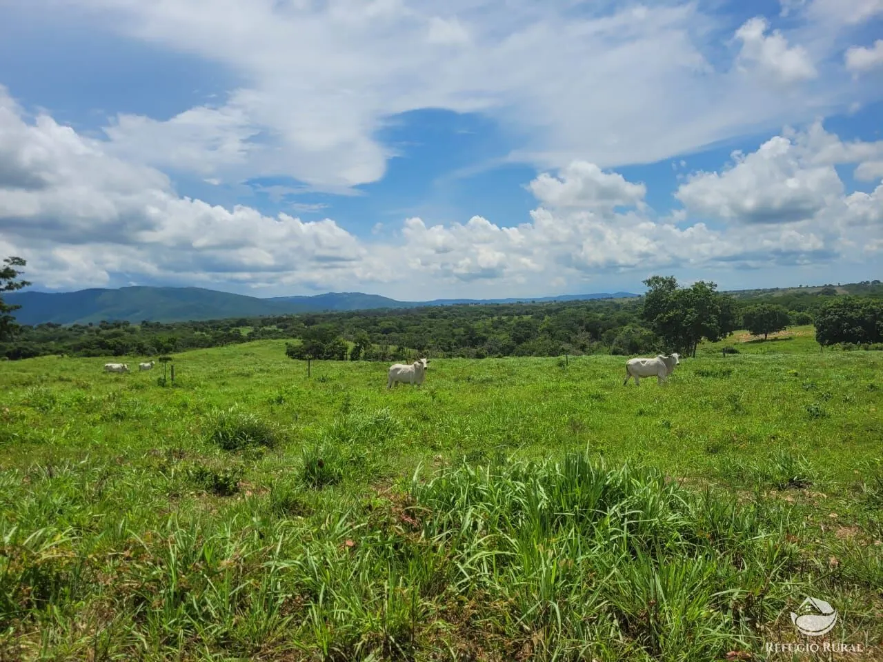 Fazenda à venda de 1.540 ha em Acorizal, MT, Brasil