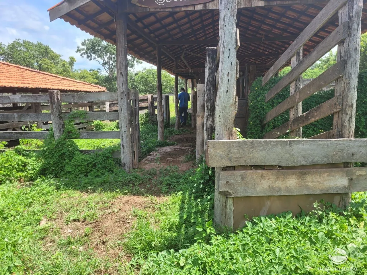 Fazenda à venda de 1.540 ha em Acorizal, MT, Brasil