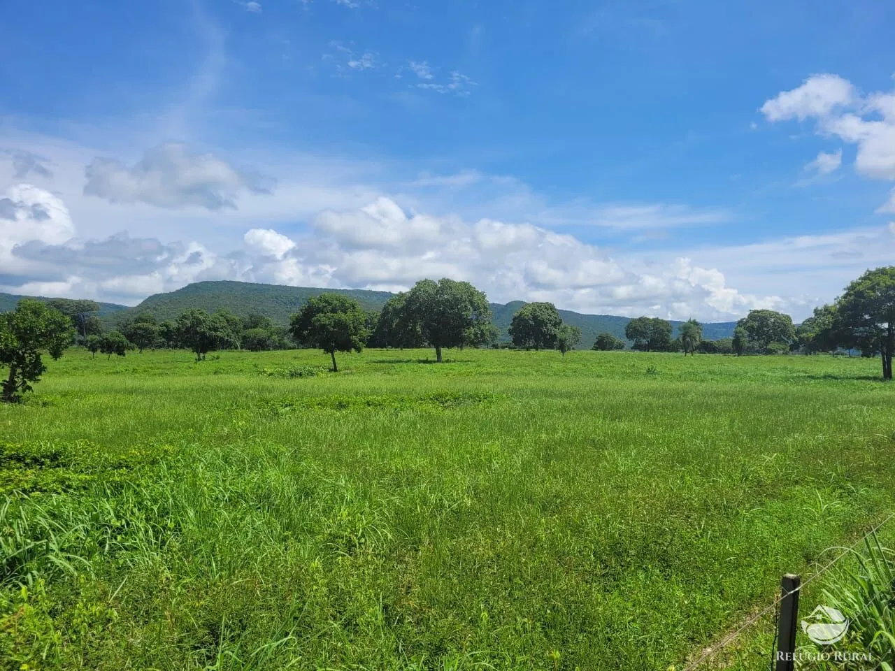 Fazenda à venda de 1.540 ha em Acorizal, MT, Brasil