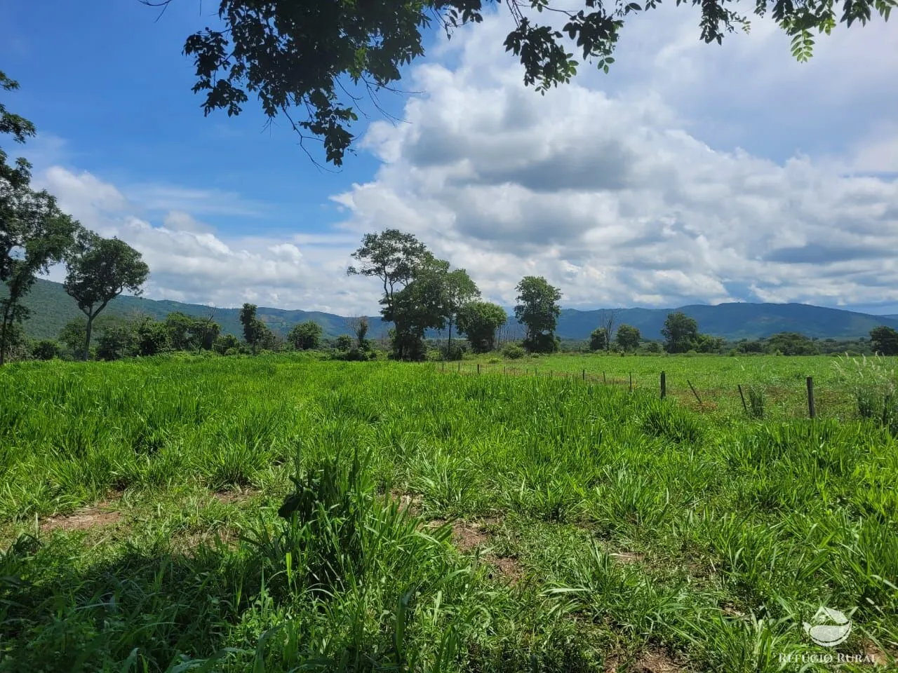 Fazenda à venda de 1.540 ha em Acorizal, MT, Brasil