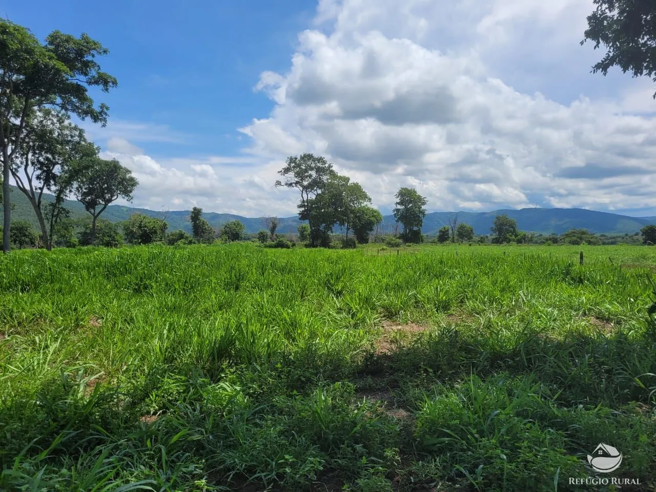 Fazenda à venda de 1.540 ha em Acorizal, MT, Brasil